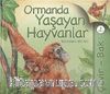Çevir Bak / Ormanda Yaşayan Hayvanlar