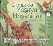 Çevir Bak / Ormanda Yaşayan Hayvanlar