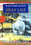 Siyah Lale