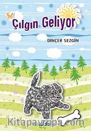 Çılgın Geliyor