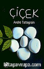 Çiçek/Taş İle İnsan Arasındaki Arabulucu Olarak