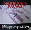 Sarıkamış Faciası