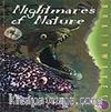 Nightmares Of Nature / Doğanın Kabusları /  İleri Okuma Düzeyini Yakalamış Öğrenciler İçin