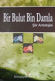 Bir Bulut Bin Damla