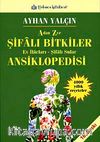 A'dan Z'ye Şifalı Bitkiler Ansiklopedisi & Ev İlaçları-Şifalı Sular