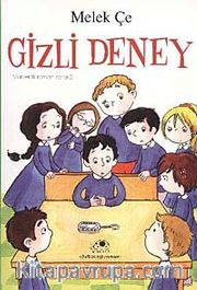 Gizli Deney