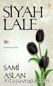 Siyah Lale