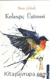 Kırlangıç Üşümesi