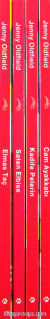 Süslü Kızın Düşeri Dizisi (4 Kitap)