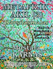 Metafizik Akıl -3