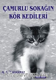 Çamurlu Sokağın Kör Kedileri