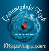 Çevremizdeki Fizik