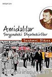 Amidalılar / Sürgündeki Diyarbekirliler