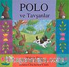 Polo ve Tavşanlar
