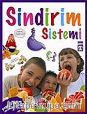 Sindirim Sistemi / Vücudumuz Dizisi
