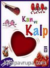 Kan ve Kalp / Vücudumuz Dizisi