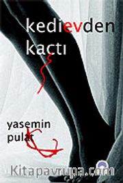 Kedi Evden Kaçtı