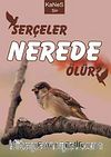 Serçeler Nerede Ölür?