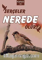 Serçeler Nerede Ölür?