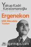 Ergenekon & Milli Mücadele Yazıları