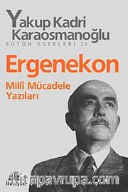 Ergenekon <br /> Milli Mücadele Yazıları
