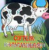 Çiftlik Hayvanları / İlk Kitaplarım (0-3 yaş için)