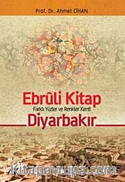 Ebruli Kitap Diyarbakır <br /> Farklı Yüzler ve Renkler Kenti