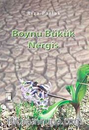 Boynu Bükük Nergis