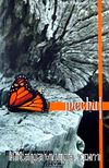 Meçhul