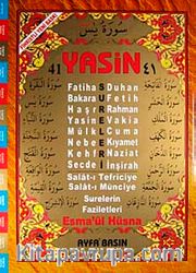 41 Yasin Arapça (Cami Boy-Şamua-4 Renk Kod:029)