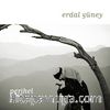 Perihel / Erdal Güney