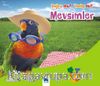 Mevsimler / Doğru mu Yanlış mı? 