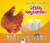 Çiftlik Hayvanları / Doğru mu Yanlış mı?