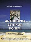 Anadolu'da Beylikler Dönemi