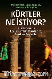 Kürtler Ne İstiyor? <br /> Kürdistan’da Etnik Kimlik, Dindarlık, Sınıf ve Seçimler
