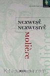 Nexweşe Nexweşıye