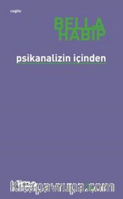 Psikanalizin İçinden