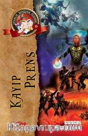 Kayıp Prens / Ufaklık Serüven Peşinde 13