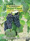 Bağlar Güzeli / Üzüm ve Üzüm Kültürü