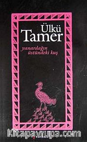 Yanardağın Üstündeki Kuş