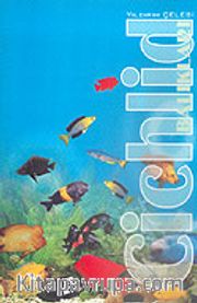 Cichlid Balıkları