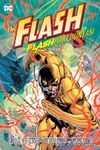 Flash Flashpoint Dünyası