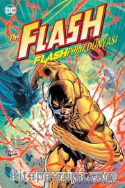 Flash Flashpoint Dünyası