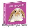 Evcil Hayvanlar 