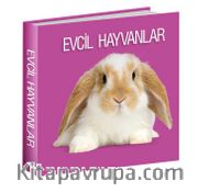 Evcil Hayvanlar 