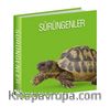 Sürüngenler