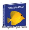 Deniz Hayvanları