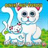 Benekli Kedi Yavrusu