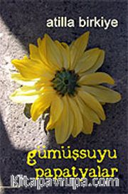 Gümüşsuyu Papatyalar