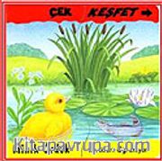 Minik Ördek-Renkleri Öğreniyor / Çek Keşfet